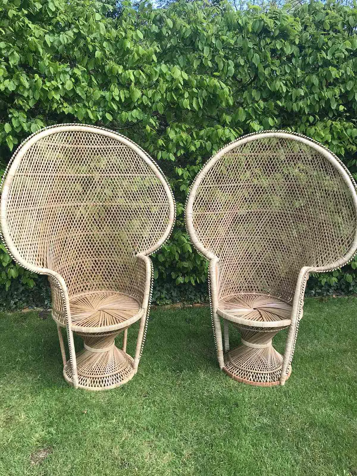 Chairs: Peacock Chairs