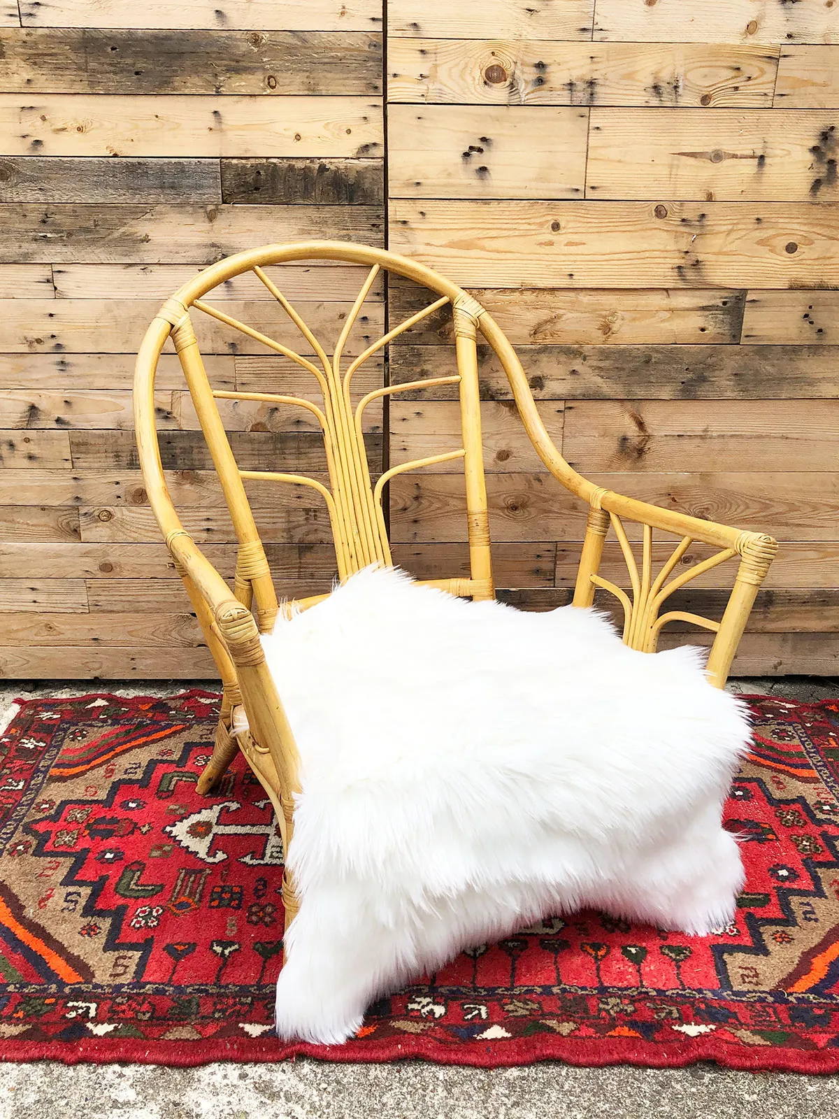 Chairs: Cane Armchair