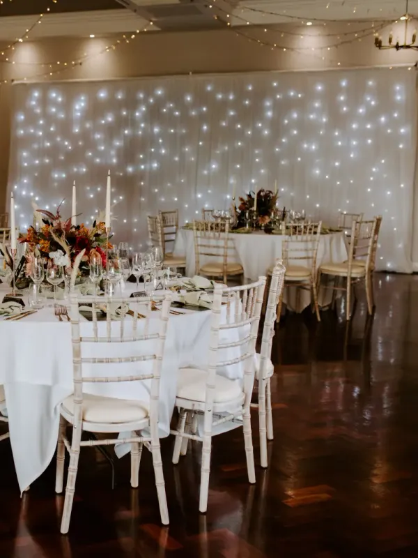 6m twinkle light curtain