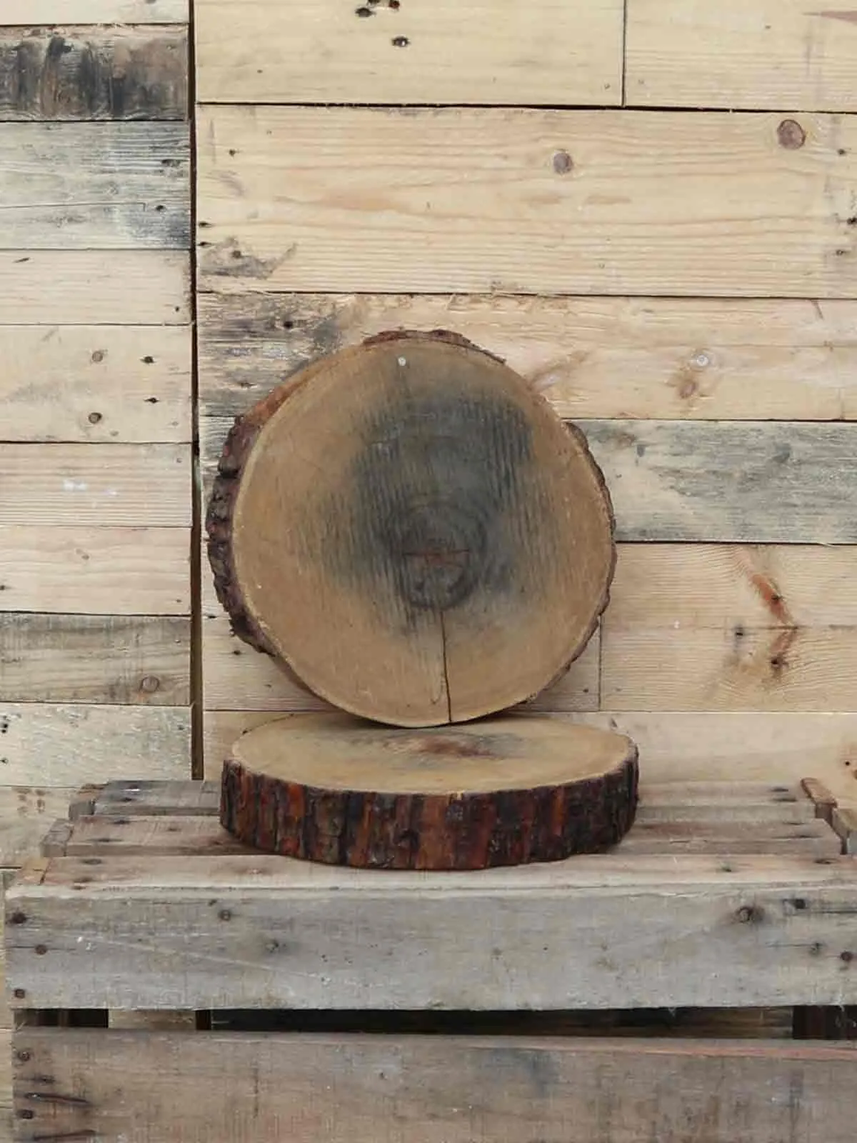 Other Props: Log Slices