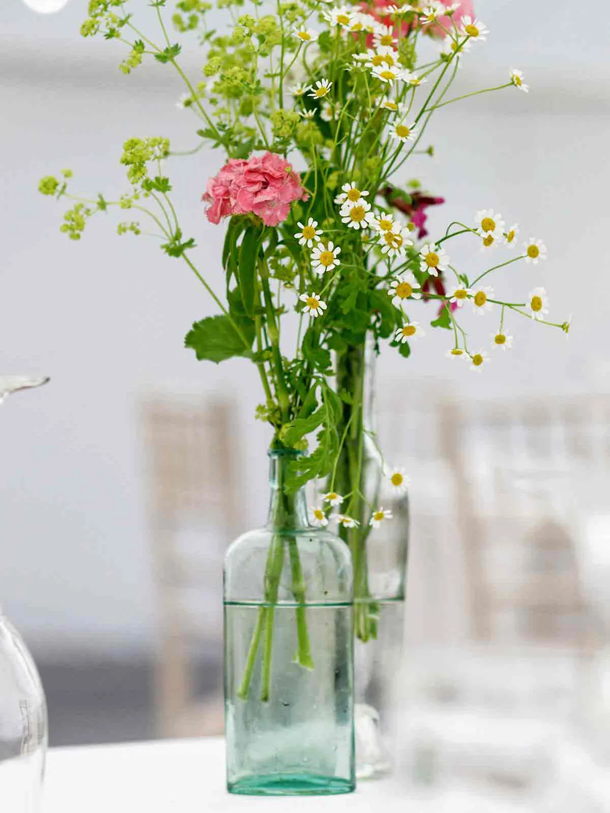 Bud Vases: Glass Bottles