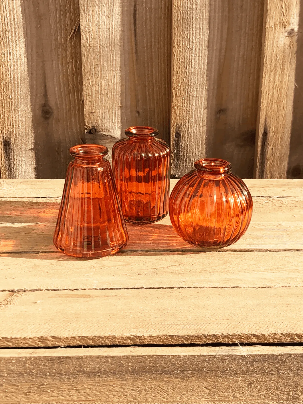 Bud Vases: Orange