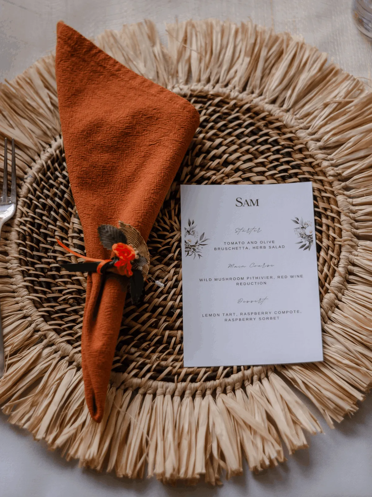 Coloured Napkins: Terracotta